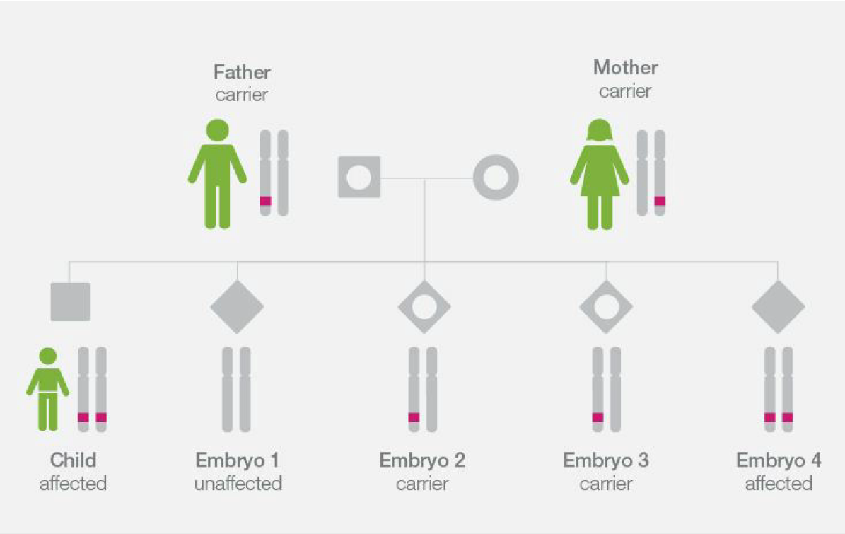 International single gene detection techniques using Karyomapping