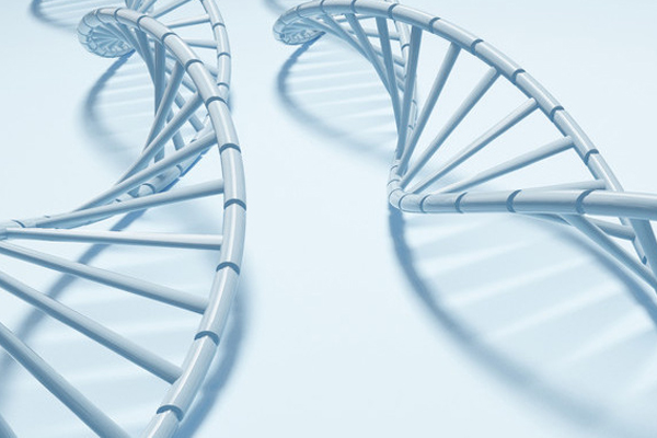 SNP array technology (detection of genetic abnormalities with SNP detection)