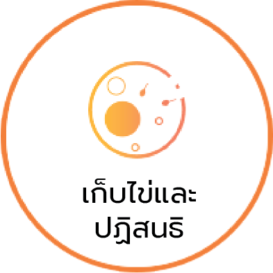 泰国试管婴儿取卵受精