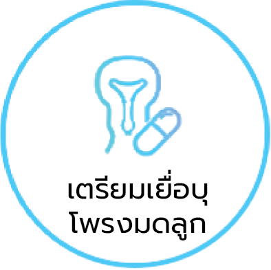 子宫内膜调理