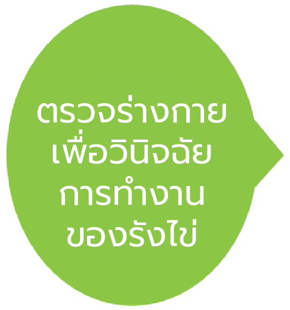 ตรวจร่างกาย