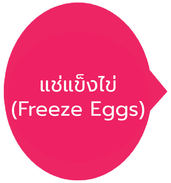 ไข่แช่แข็ง